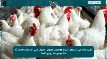تغير جديد في أسعار الفراخ والبيض اليوم.. تعرف على الأسعار المحدثة الخميس 24 يوليو 2025